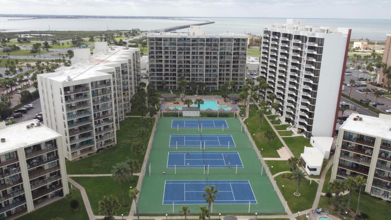 Beachfront Resort With Heated Pool Saida Royale 9039 South Padre Island Exteriér fotografie
